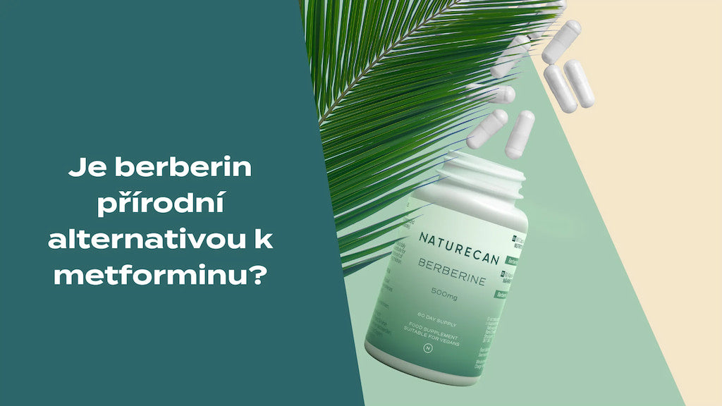 Nahrazuje berberin metformin jako volně dostupnou alternativu?