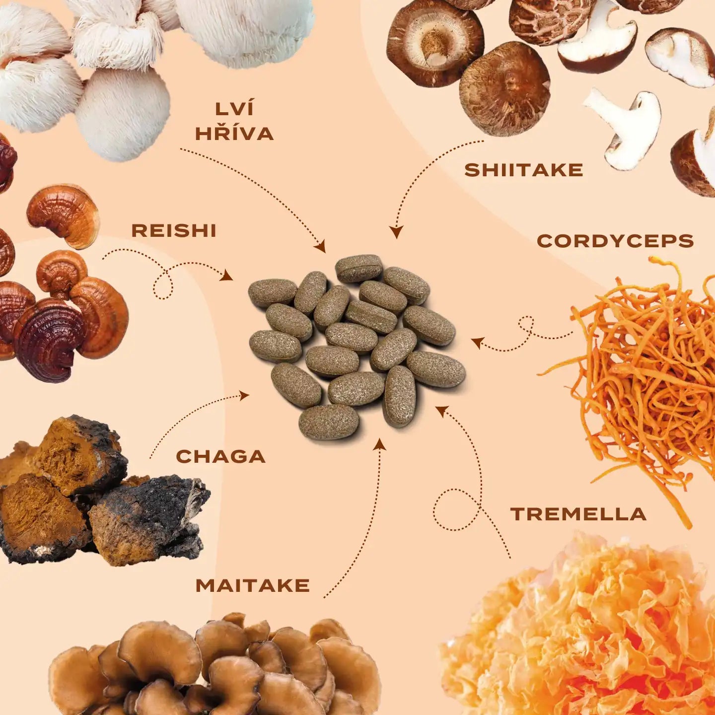 Houbový komplex reishi, shiitake, chaga