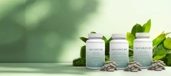 ashwagandha účinky