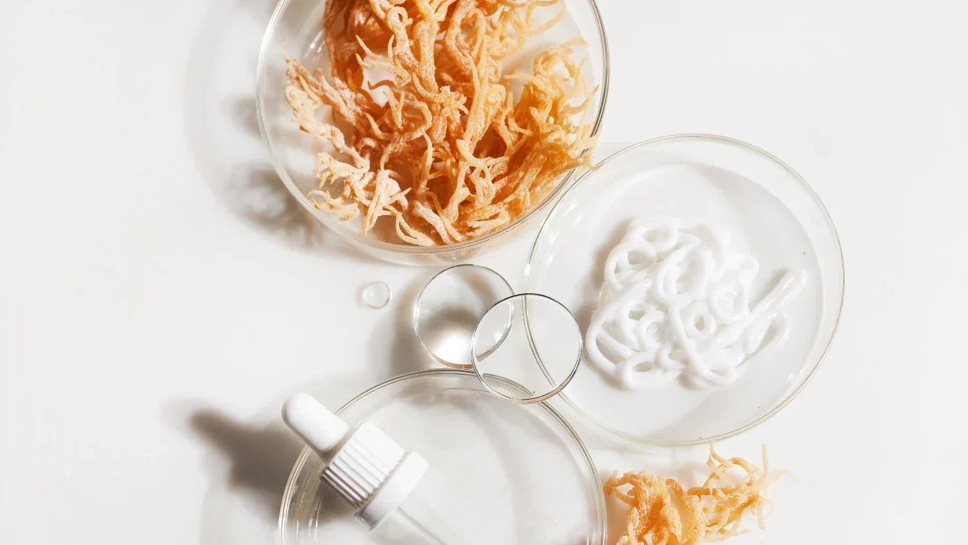 Sea Moss: co to je, jaké jsou jeho účinky a vedlejší účinky?