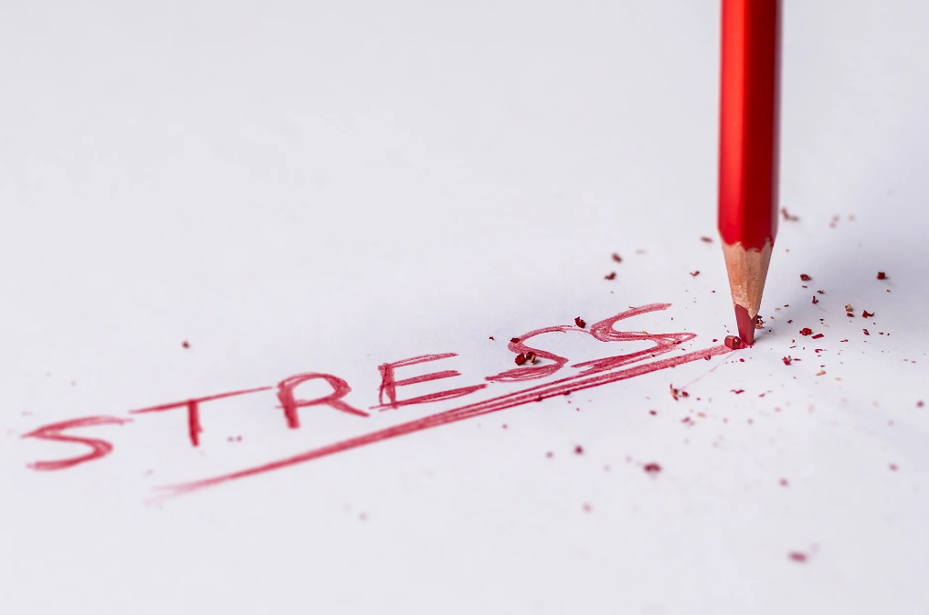 CBD a stres: co říká věda?