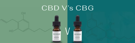 CBG vs CBD