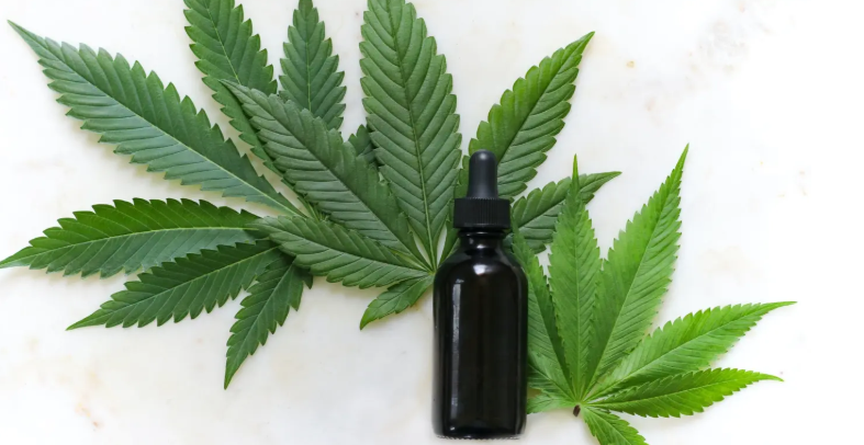 Co je HHC a jak se liší od CBD a THC?