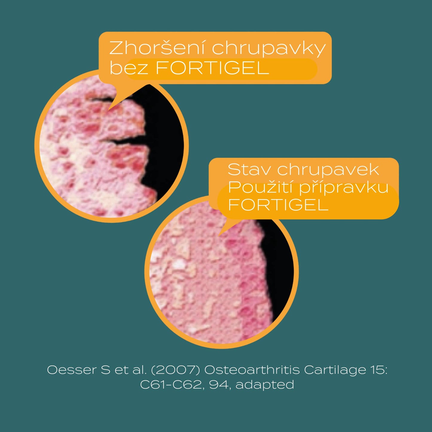 collagen powder