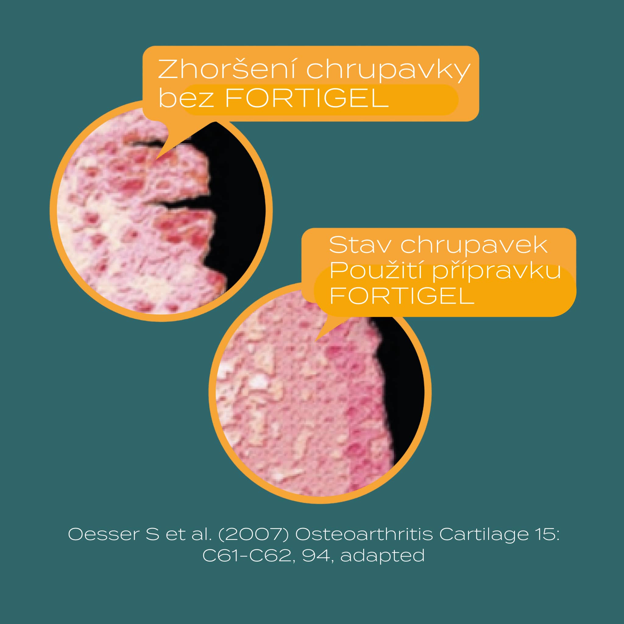 collagen powder