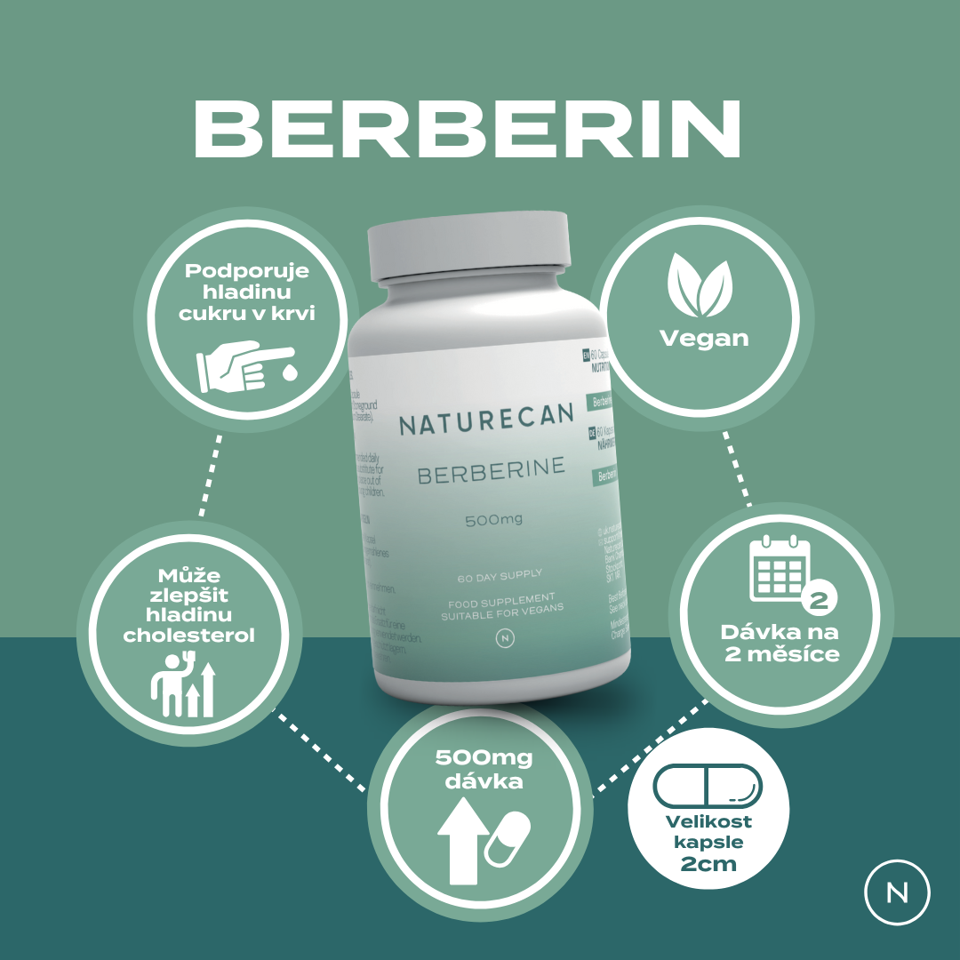 berberin účinky