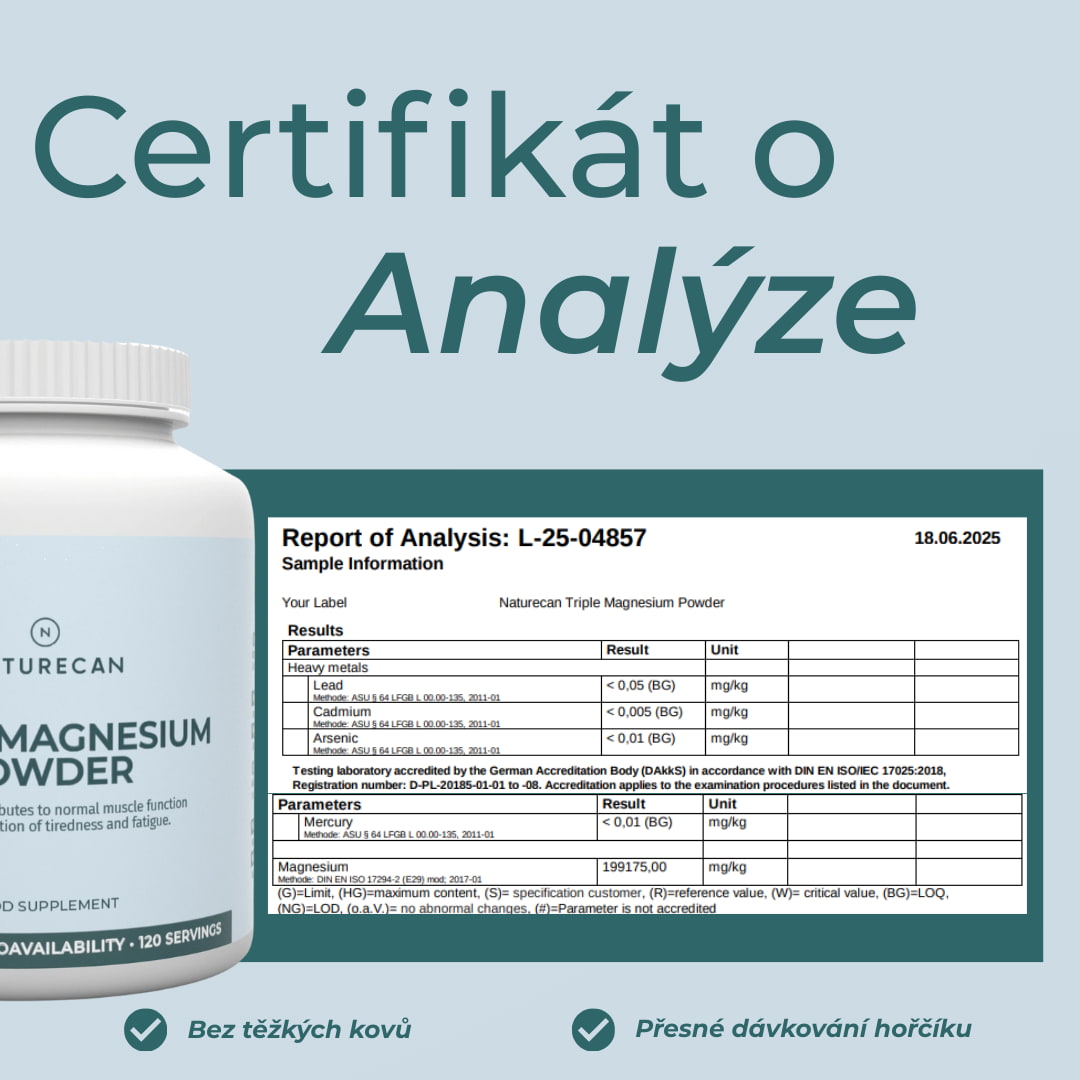 hořčíkový prášek