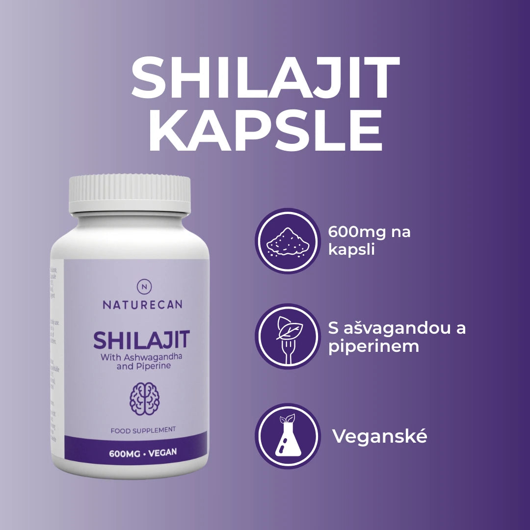 shilajit recenze