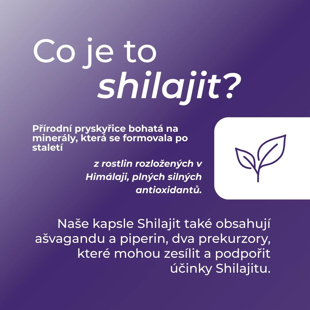 shilajit co to je