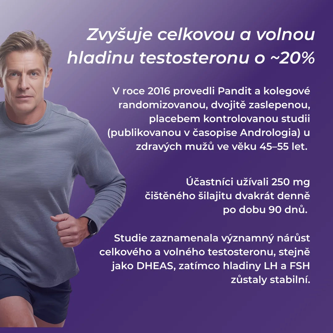 shilajit zkušenosti