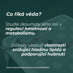 nejlepší berberin