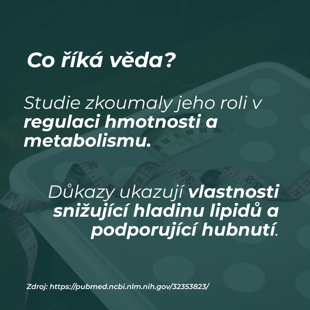 nejlepší berberin