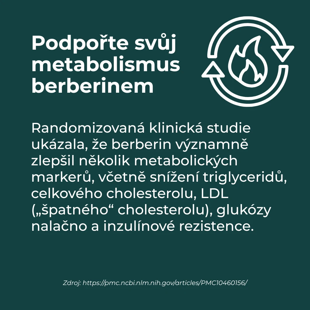 berberin a hubnutí