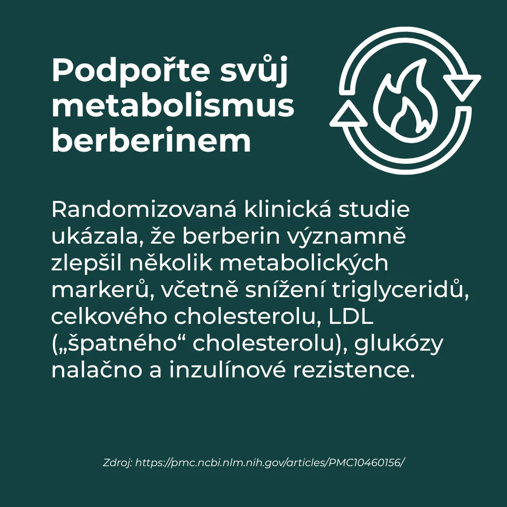 berberin a hubnutí
