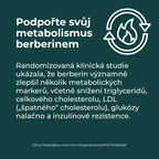 berberin a hubnutí