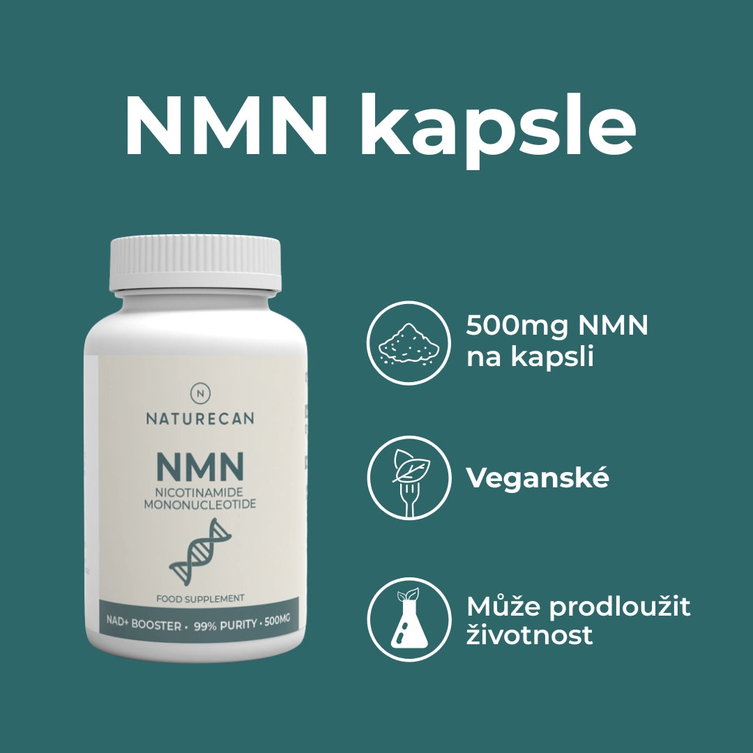 nmn zkušenosti