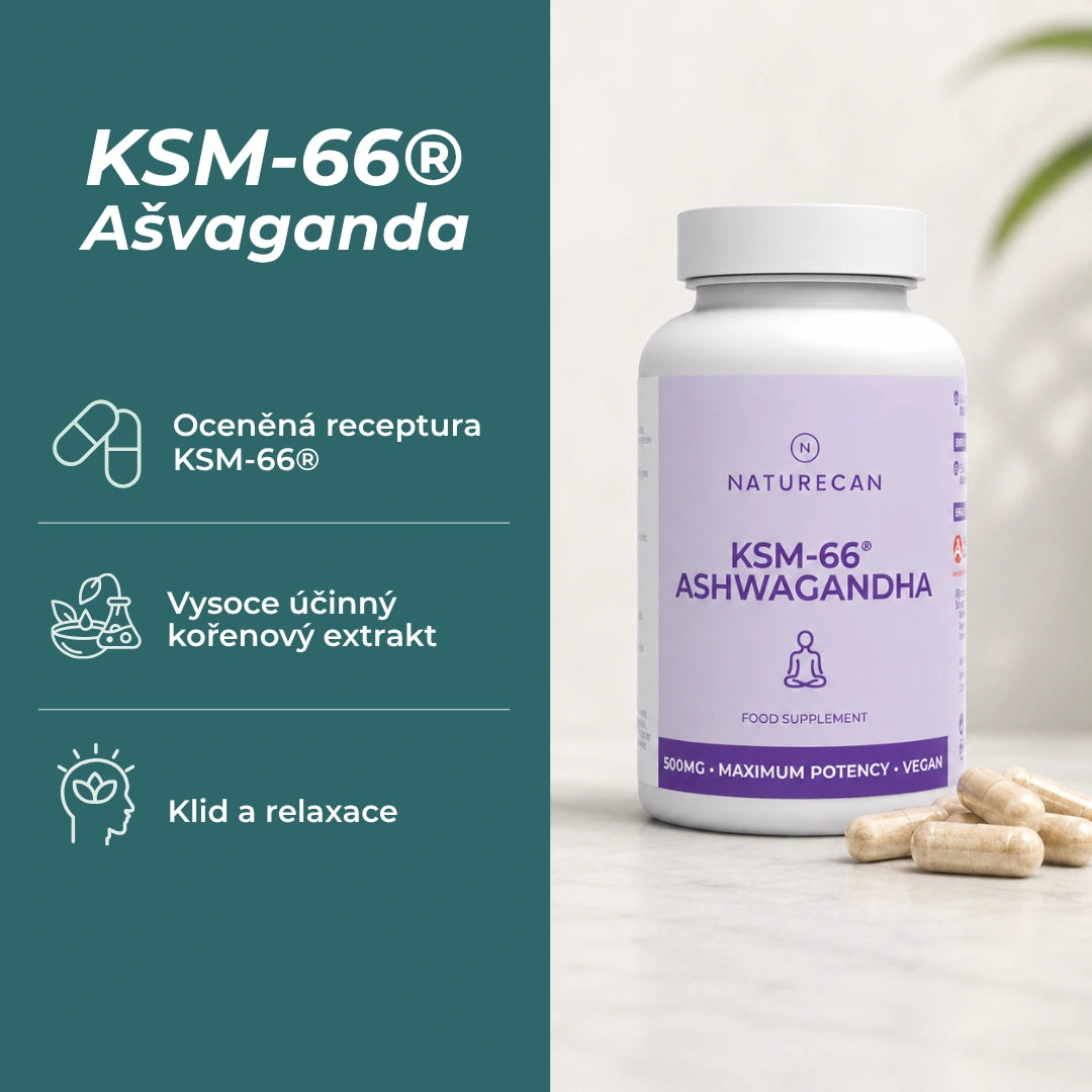 ashwagandha účinky