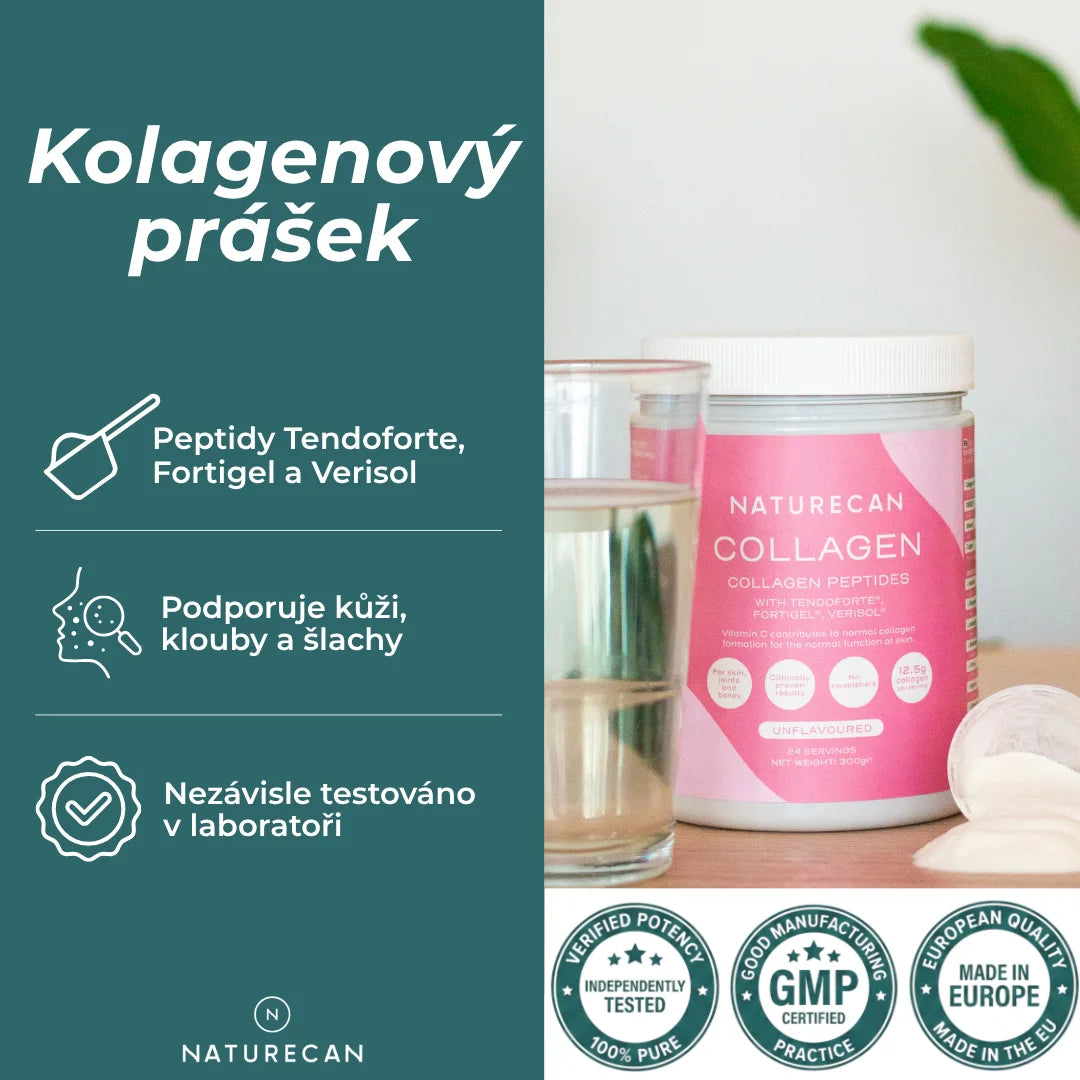 co je kolagen