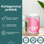 co je kolagen