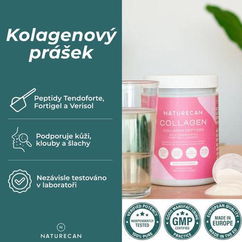 co je kolagen
