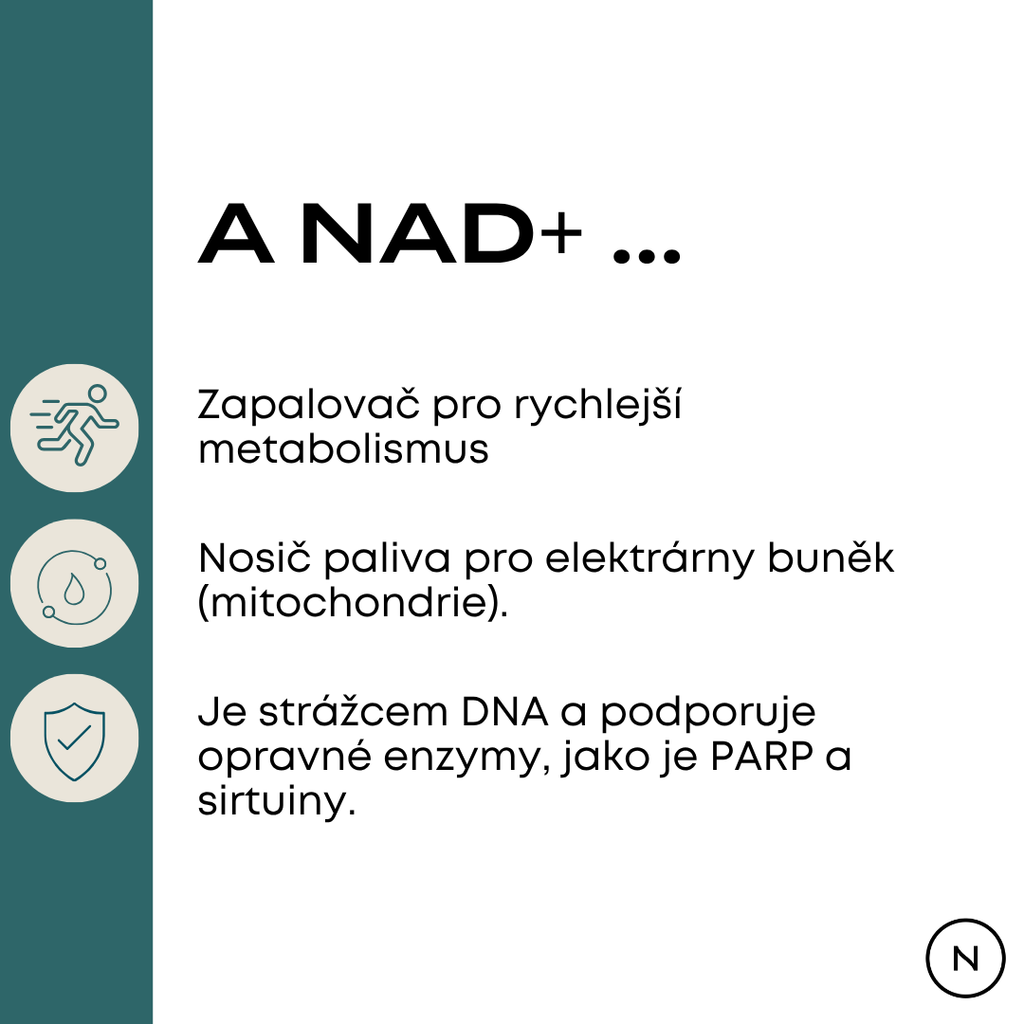 nad+ účinky