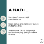 nad+ účinky