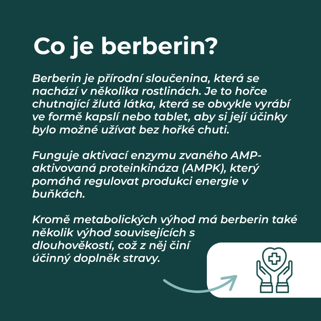 berberin recenze