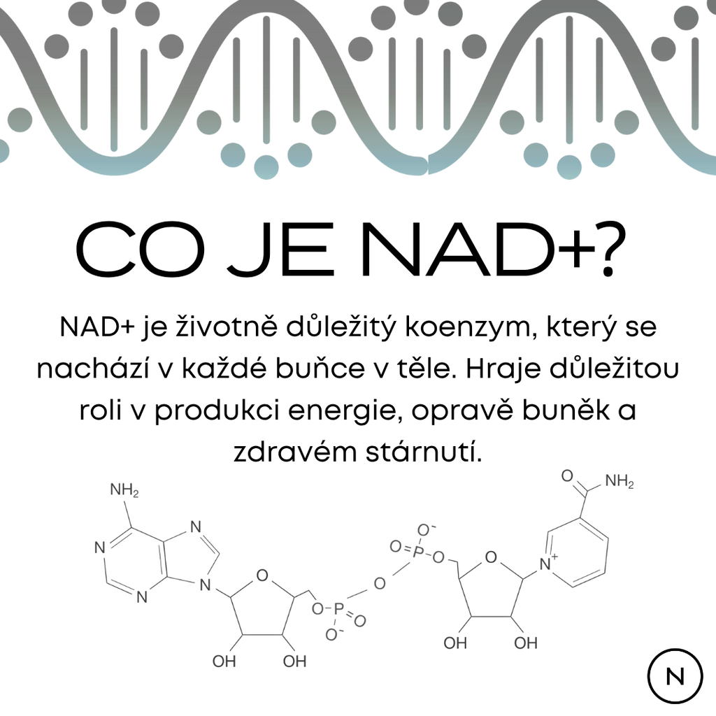 co je NAD+