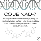 co je NAD+