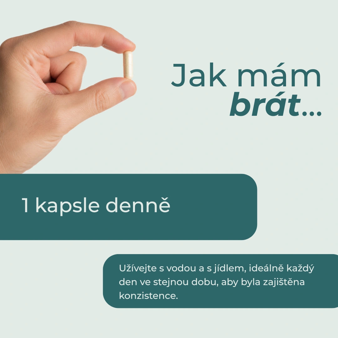 kde koupit nac doplněk stravy?